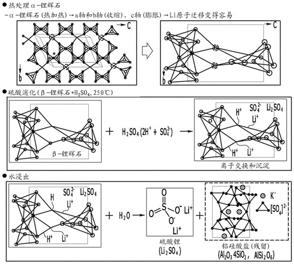 62e15de19d2f8.jpg